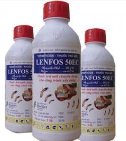 Thuốc chống mối Lenfos 50EC